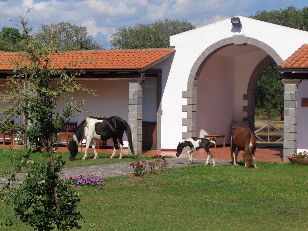 Hotel Su Baione Abbasanta Exteriér fotografie
